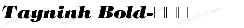 Tayninh Bold字体转换